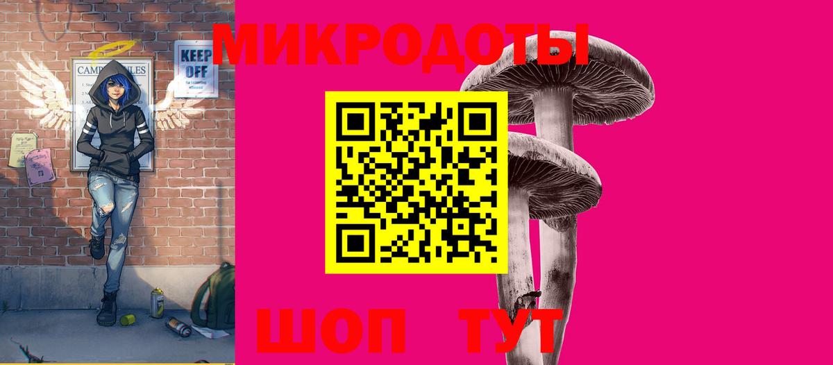 Псилоцибиновые грибы Psilocybe  Вход с VPN  Санкт-Петербург 