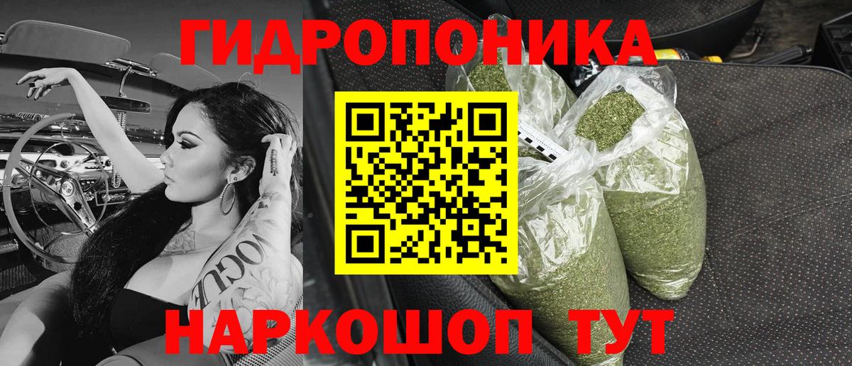 Конопля Bruce Banner  Вход с VPN  Санкт-Петербург  Бошки Шишки SATIVA & INDICA 